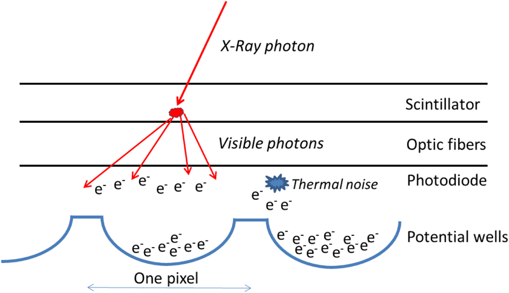 Ccd Sensor Radiography Comparison of CCD, CMOS and Hybrid Pixel x-ray detectors: detection ...