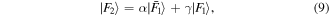 Equation (9)