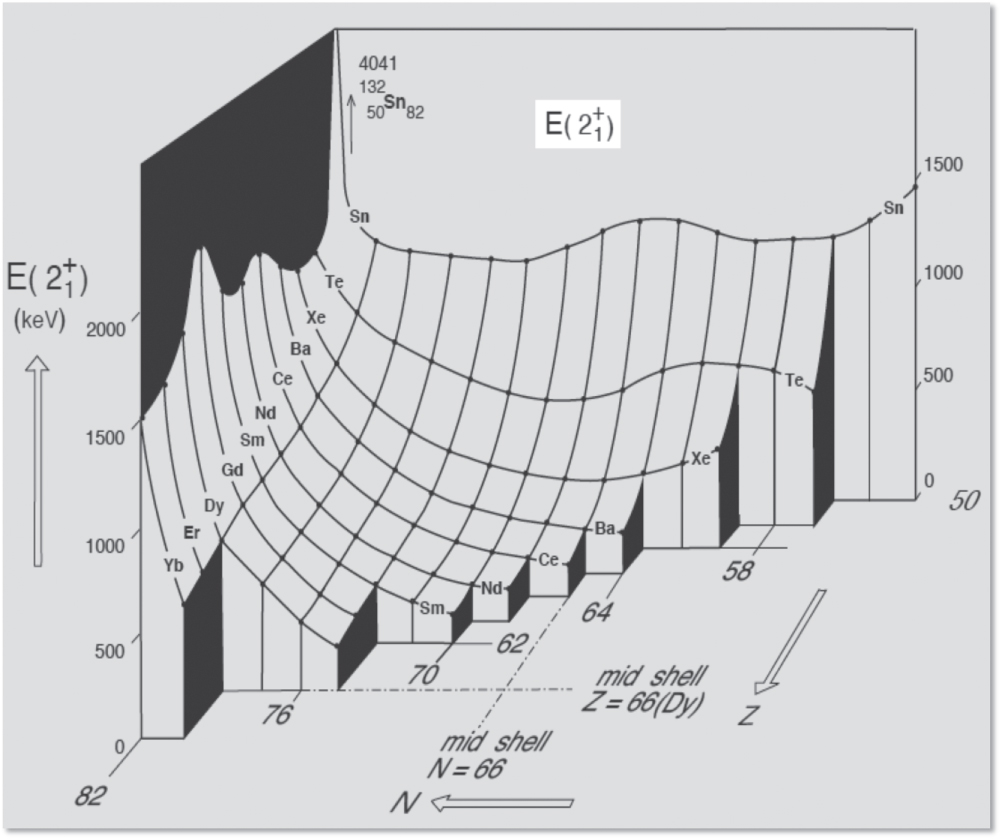 Nuclear shapes: from earliest ideas to multiple shape coexisting ...