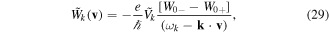 Equation (29)