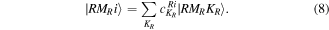 Equation (8)