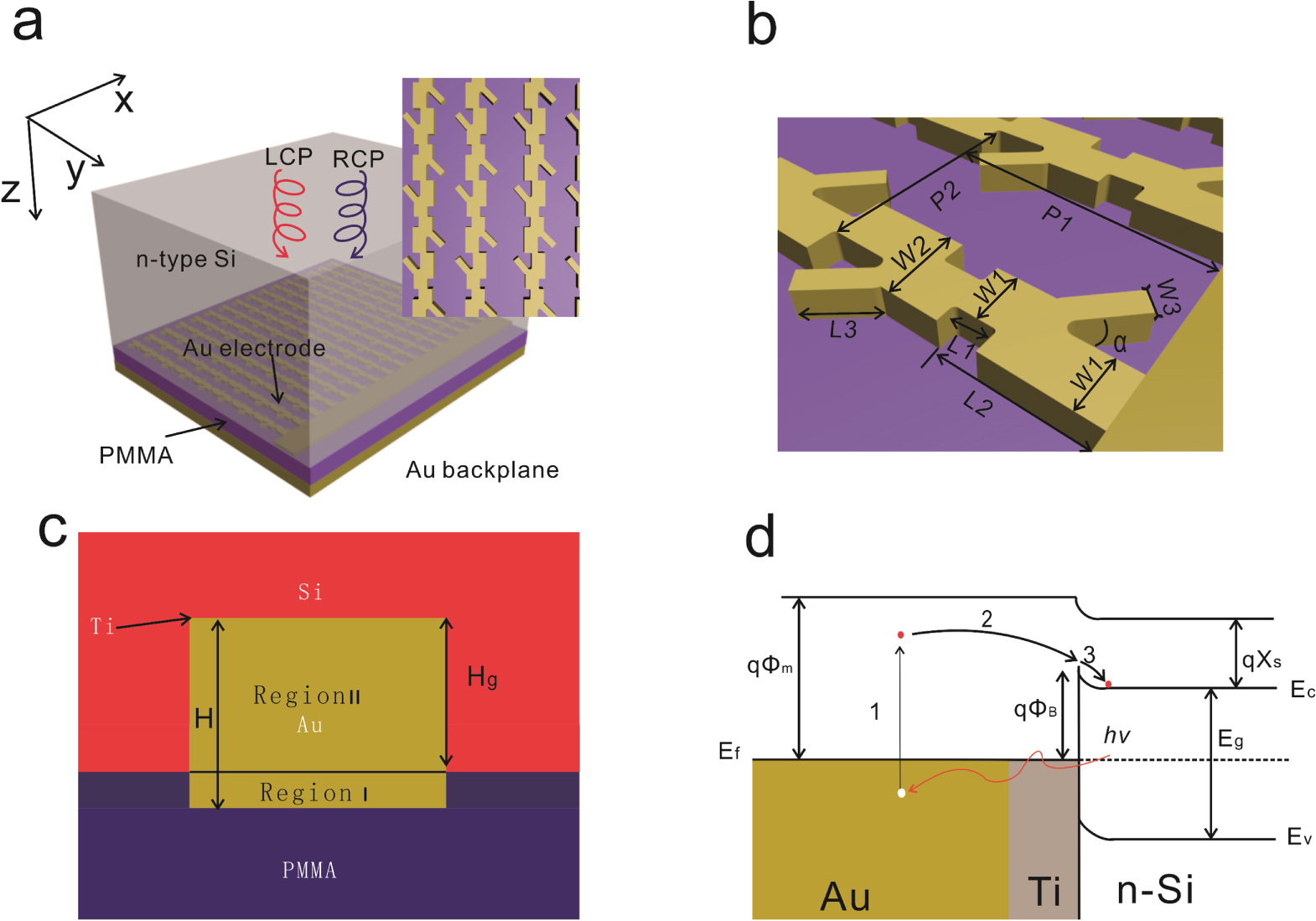 Circularly polarized light detector based on 2D embedded chiral ...