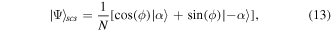 Equation (13)