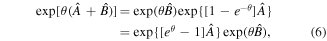 Equation (6)