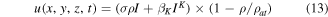 Equation (13)