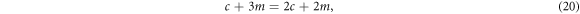 Equation (20)