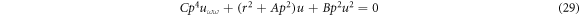 Equation (29)