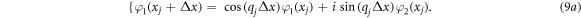 Equation (9a)