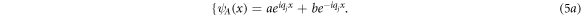 Equation (5a)