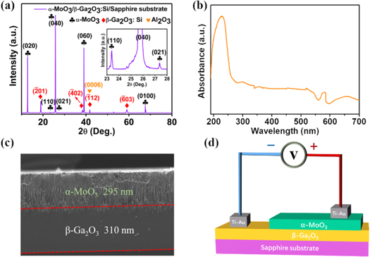Preparation of all-oxide β-Ga2O3/α-MoO3 heterojunction towards self ...