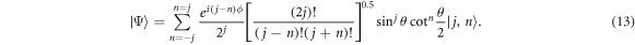 Equation (13)