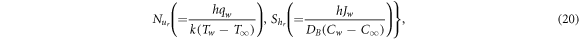 Equation (20)