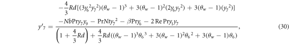 Equation (30)