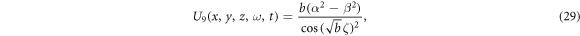Equation (29)