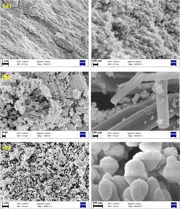 Investigating the structural, optical, and photocatalytic activity of ...
