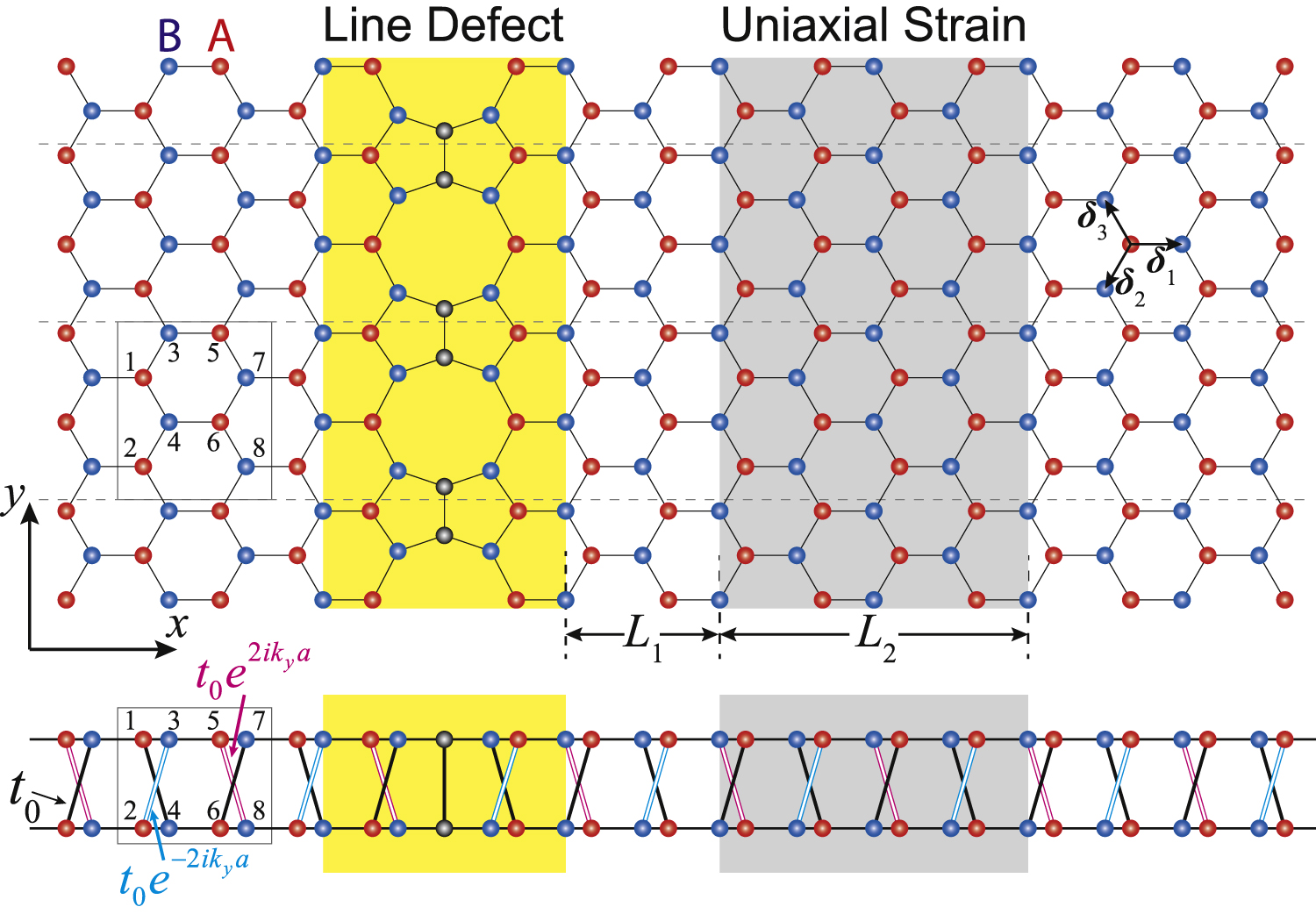 Robust valley filter induced by quantum constructive interference