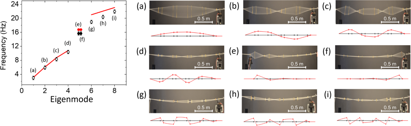 Experimental observation of topological phase transitions in a ...