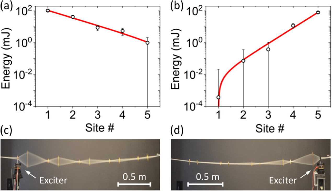 Experimental observation of topological phase transitions in a ...