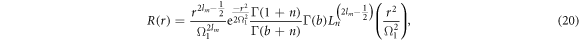 Equation (20)