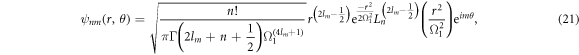 Equation (21)