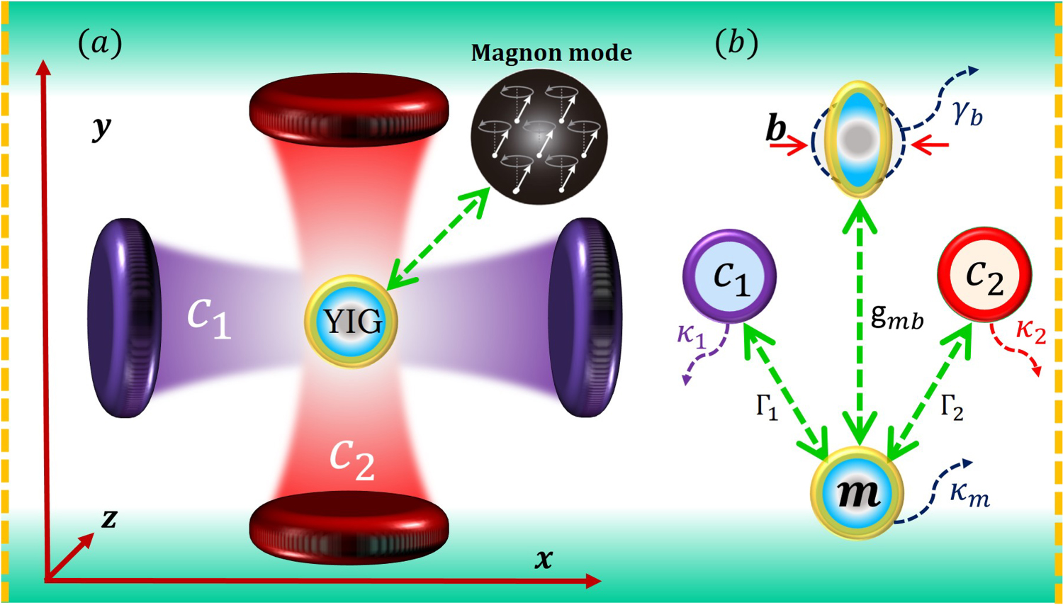 Enhanced entanglement and quantum steering of directly and indirectly ...