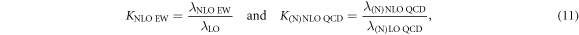 Equation (11)