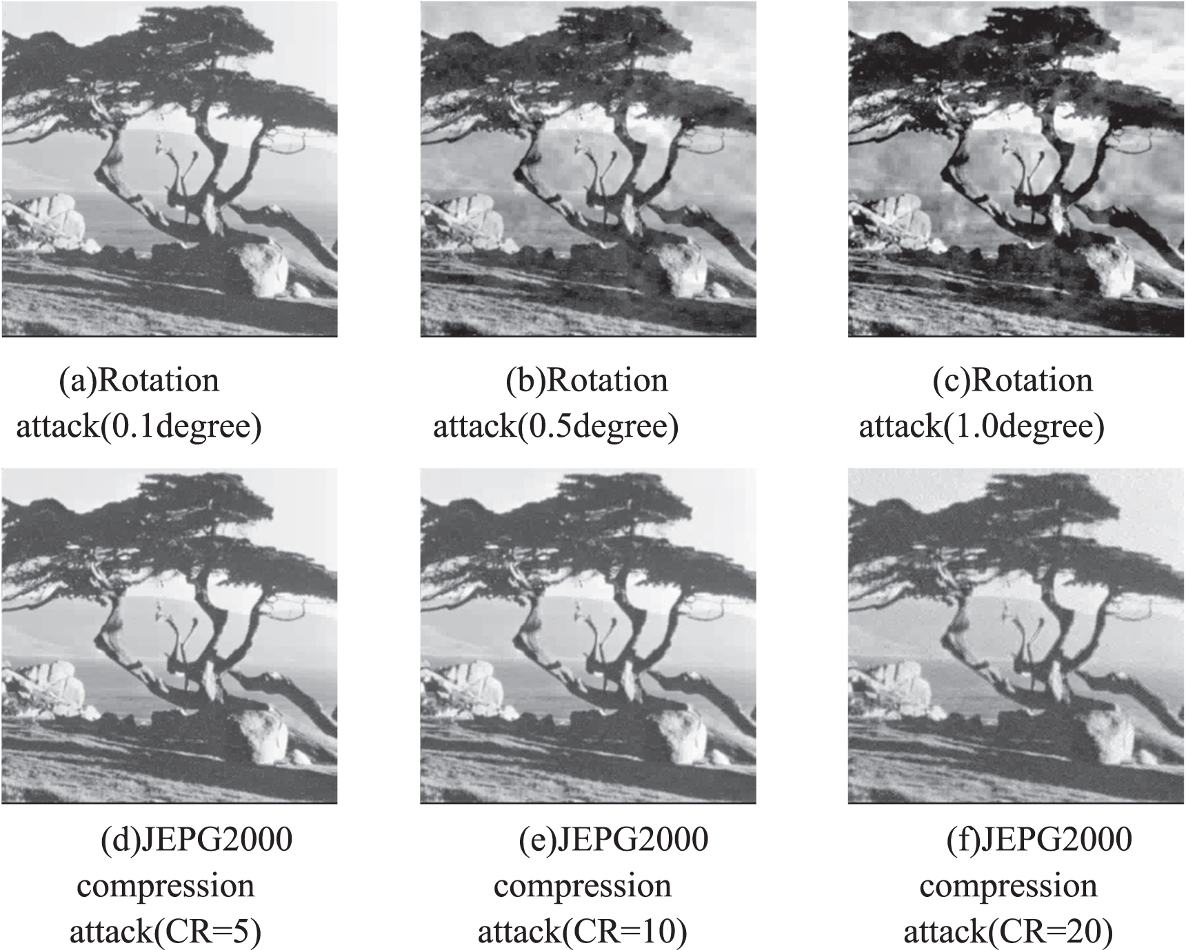A joint image compression and encryption algorithm based on compression ...