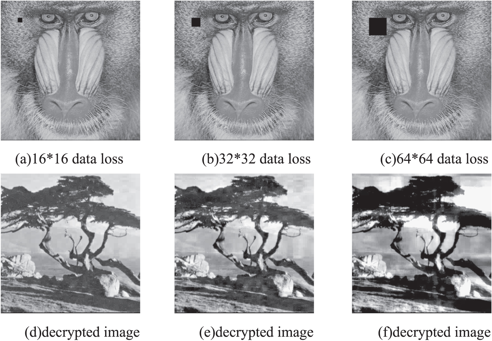 A joint image compression and encryption algorithm based on compression ...