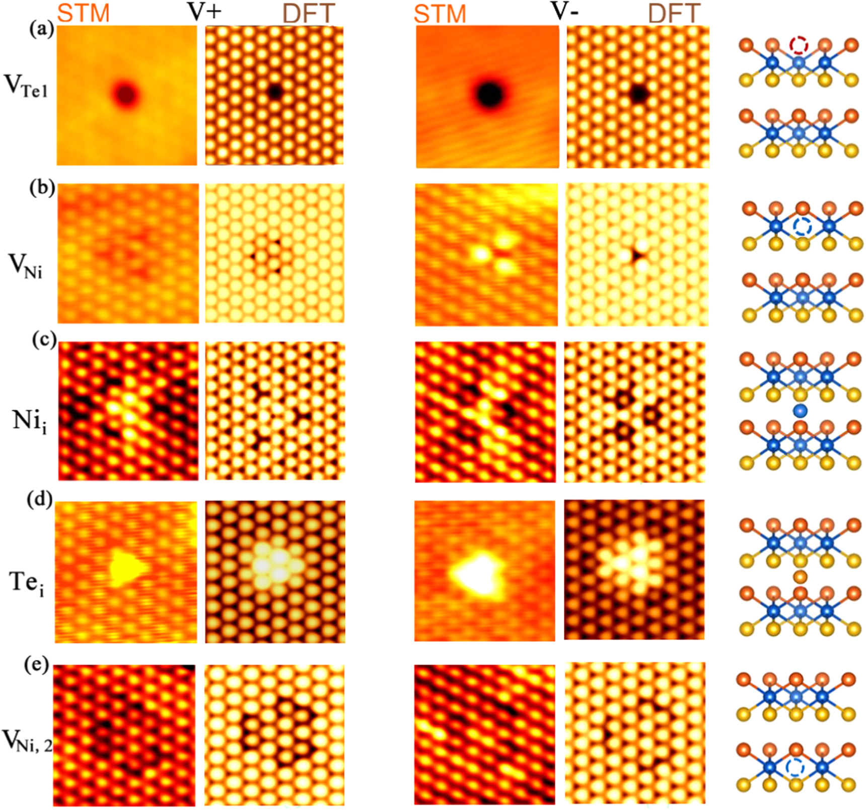Visualizing the atomic defects by scanning tunneling microscopy in the ...