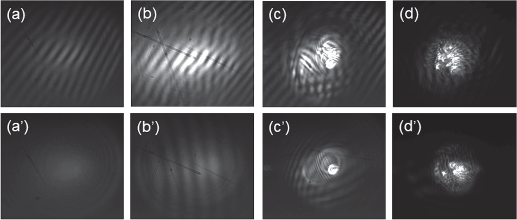 Femtosecond filamentation in water studied by the interference of ...