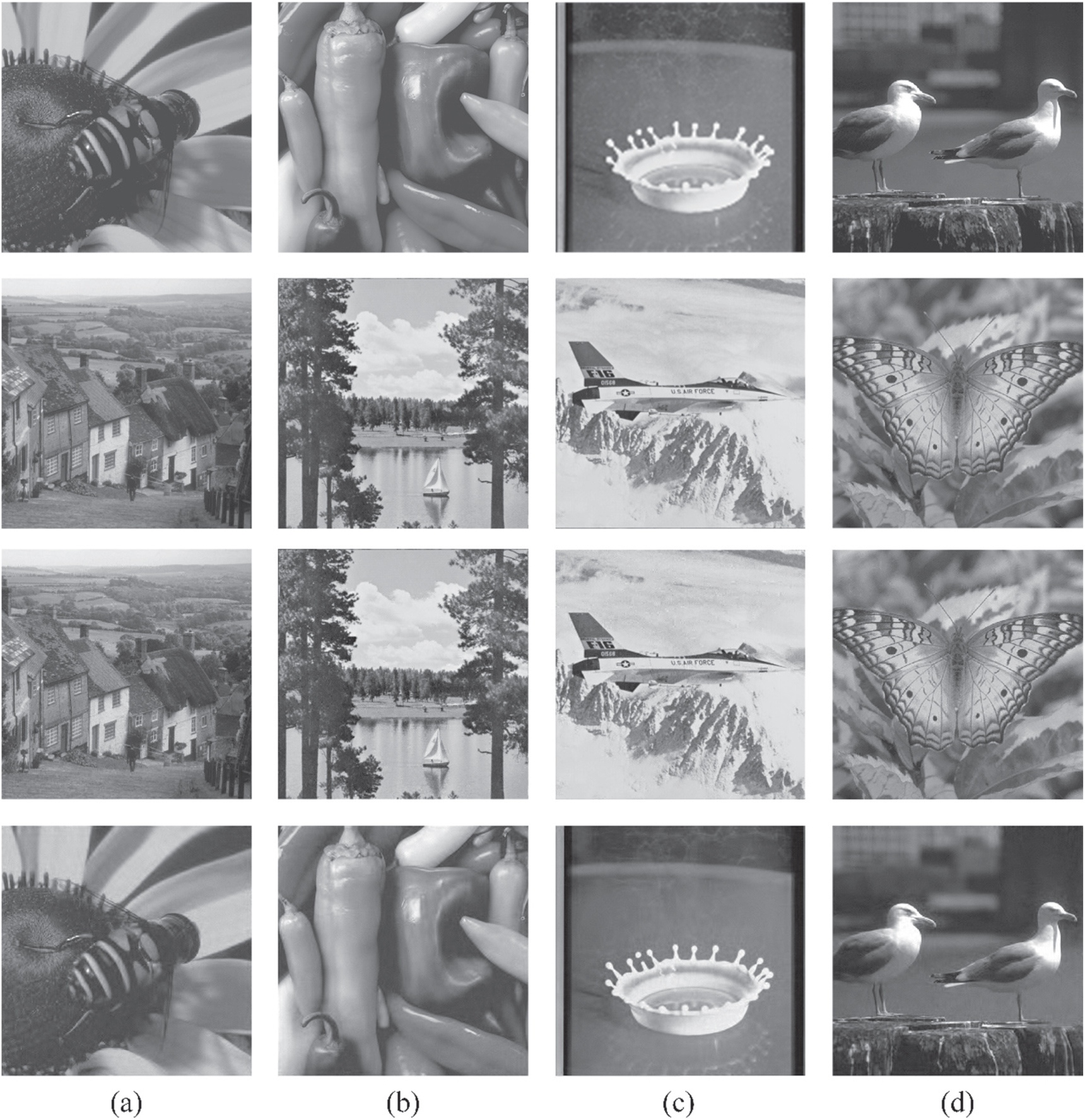 A visually meaningful image encryption algorithm based on P-tensor ...
