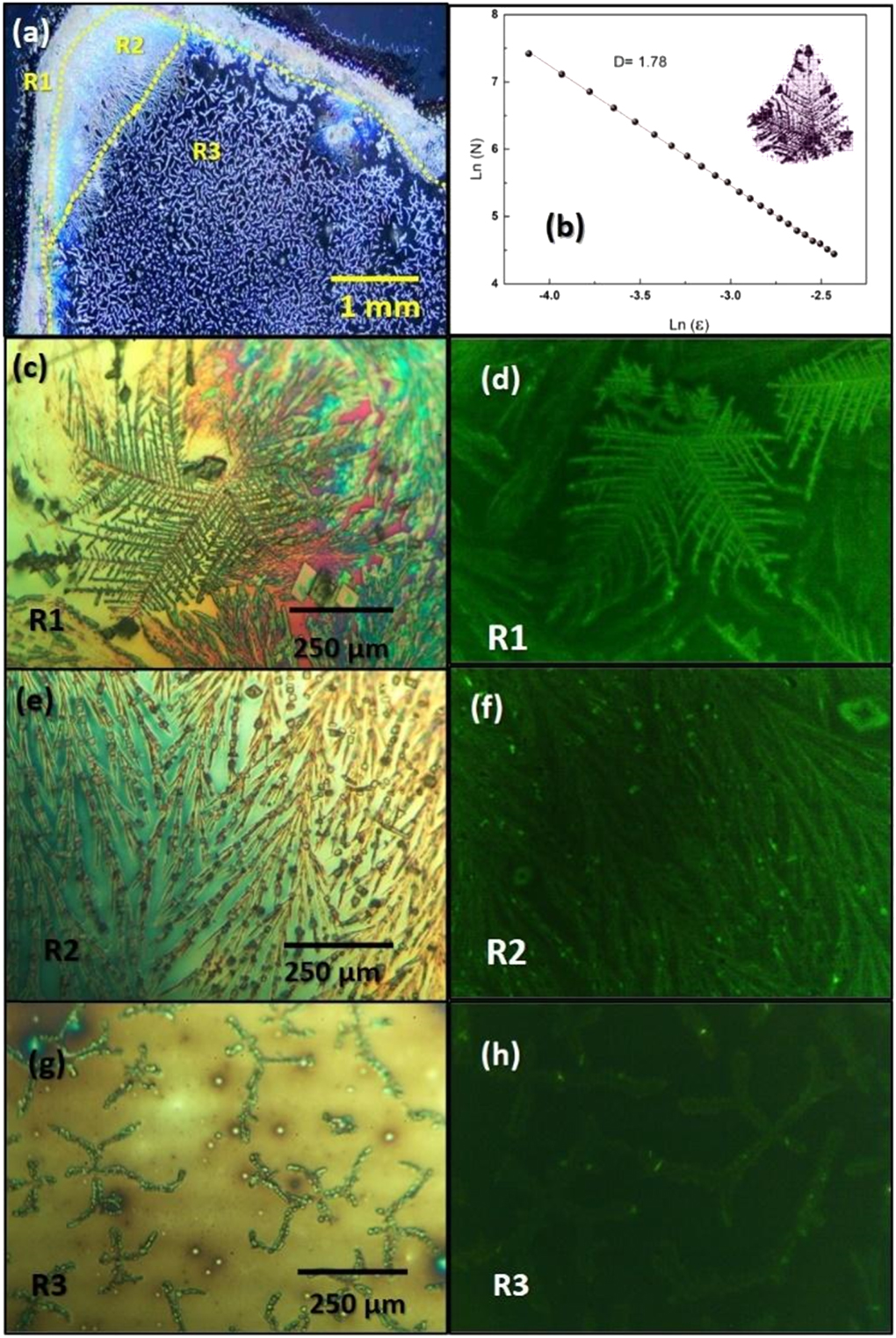 Study of self- assembly structures of carbon quantum dots - IOPscience