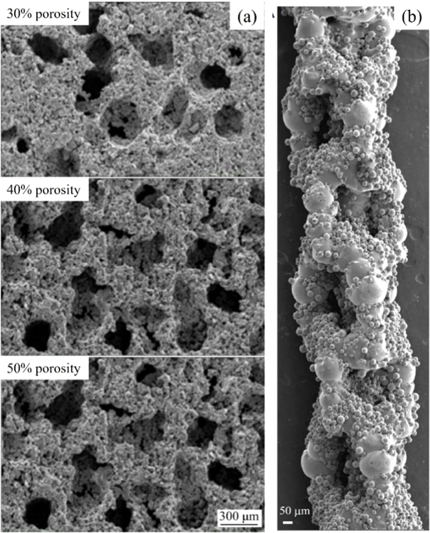 The development of porous metallic materials: a short review of ...