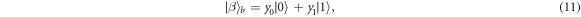 Equation (11)