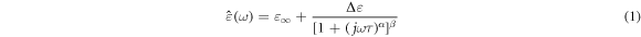 Equation (1)
