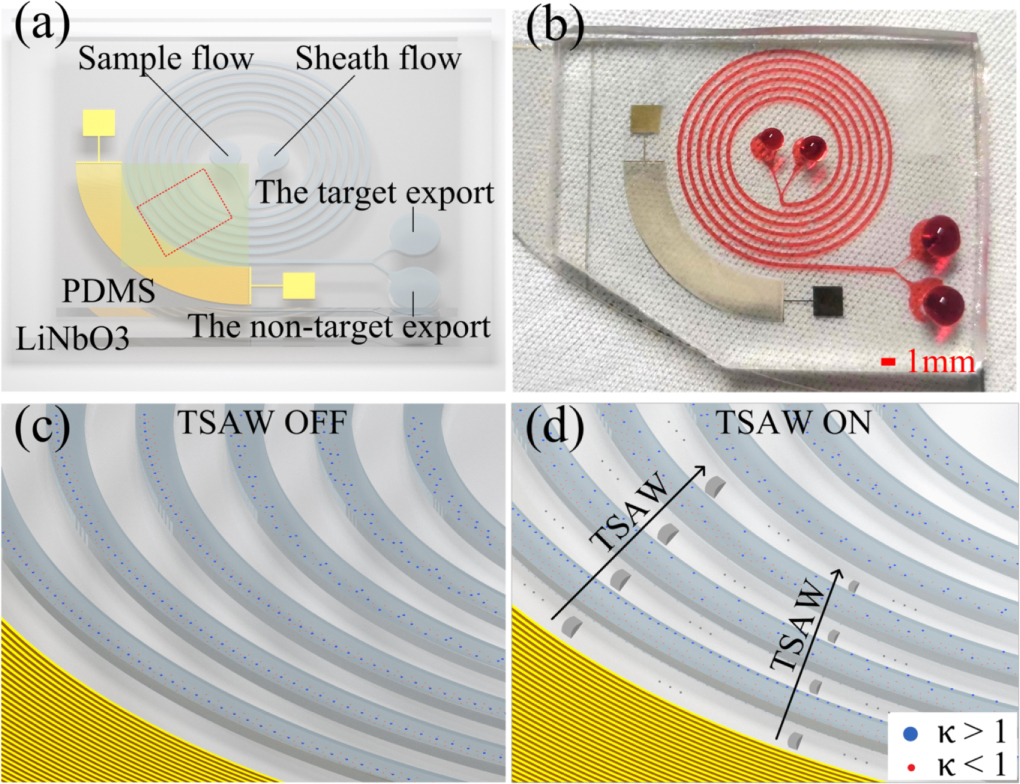 High throughput particle sorting based on traveling surface acoustic ...