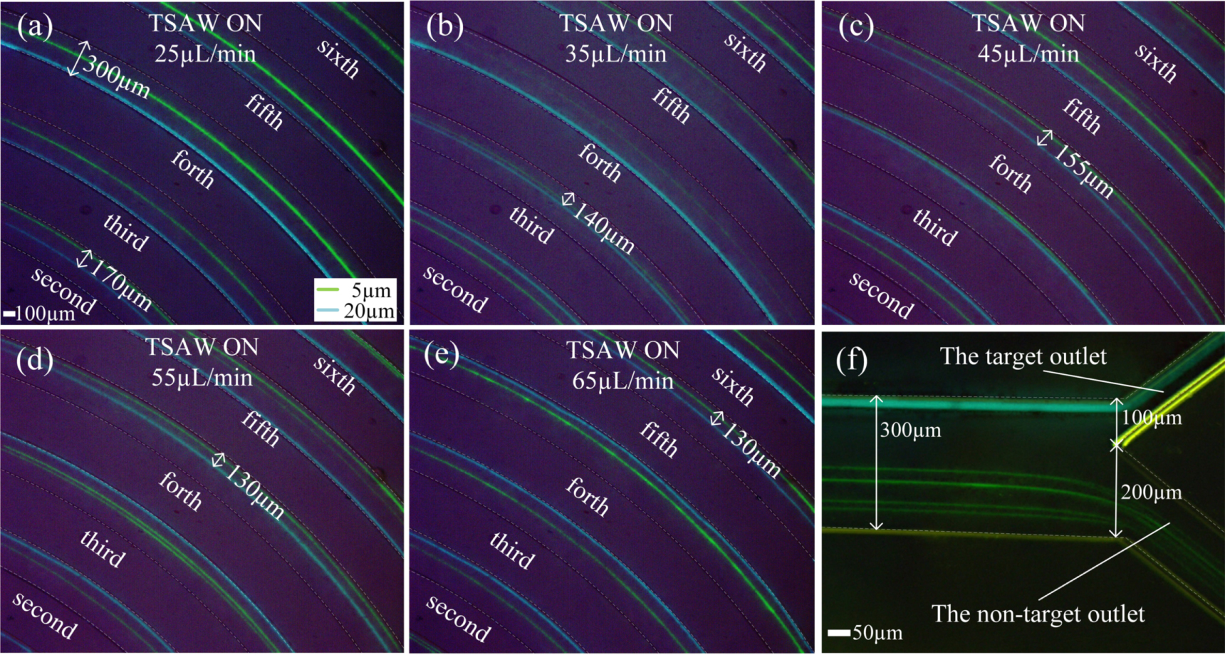 High throughput particle sorting based on traveling surface acoustic ...