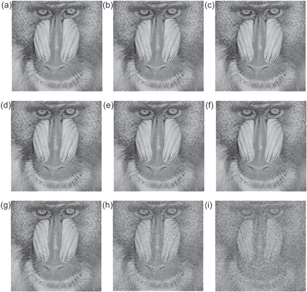 Image encryption algorithm based on multi-bit superposition and optical ...