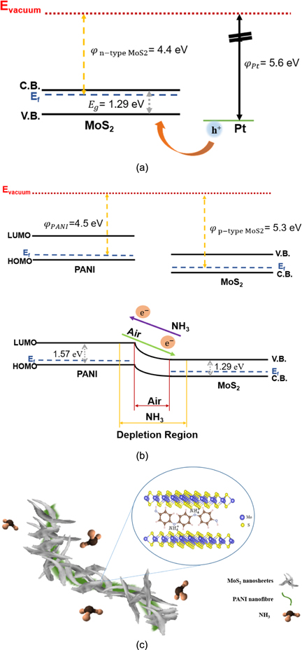 Reversible room temperature ammonia sensor based on the synthesized ...