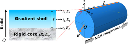 Numerical study on wrinkling of gradient shell on rigid cylindrical ...