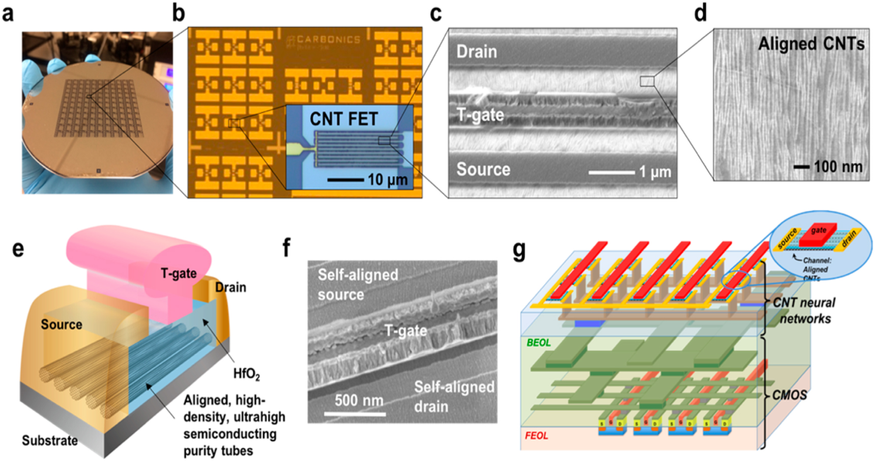 Carbon nanotube field effect transistors: an overview of device ...