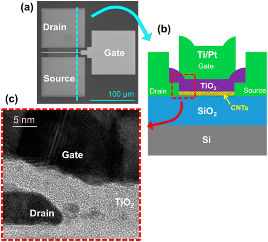 Carbon nanotube field effect transistors: an overview of device ...