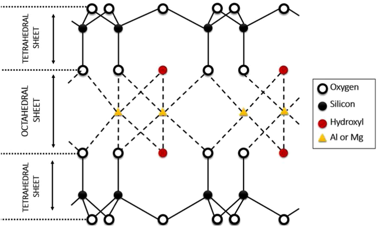 pH regulated desiccation crack network: a versatile template for ...