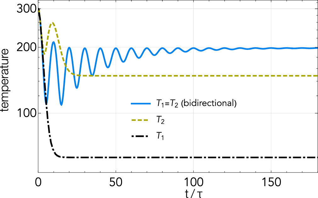 Temperature gradient and asymmetric steady state correlations in ...