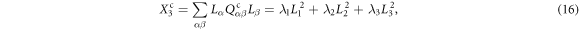 Equation (16)