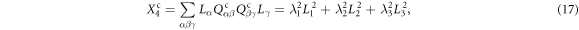 Equation (17)