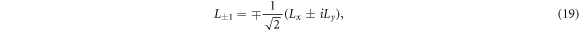 Equation (19)