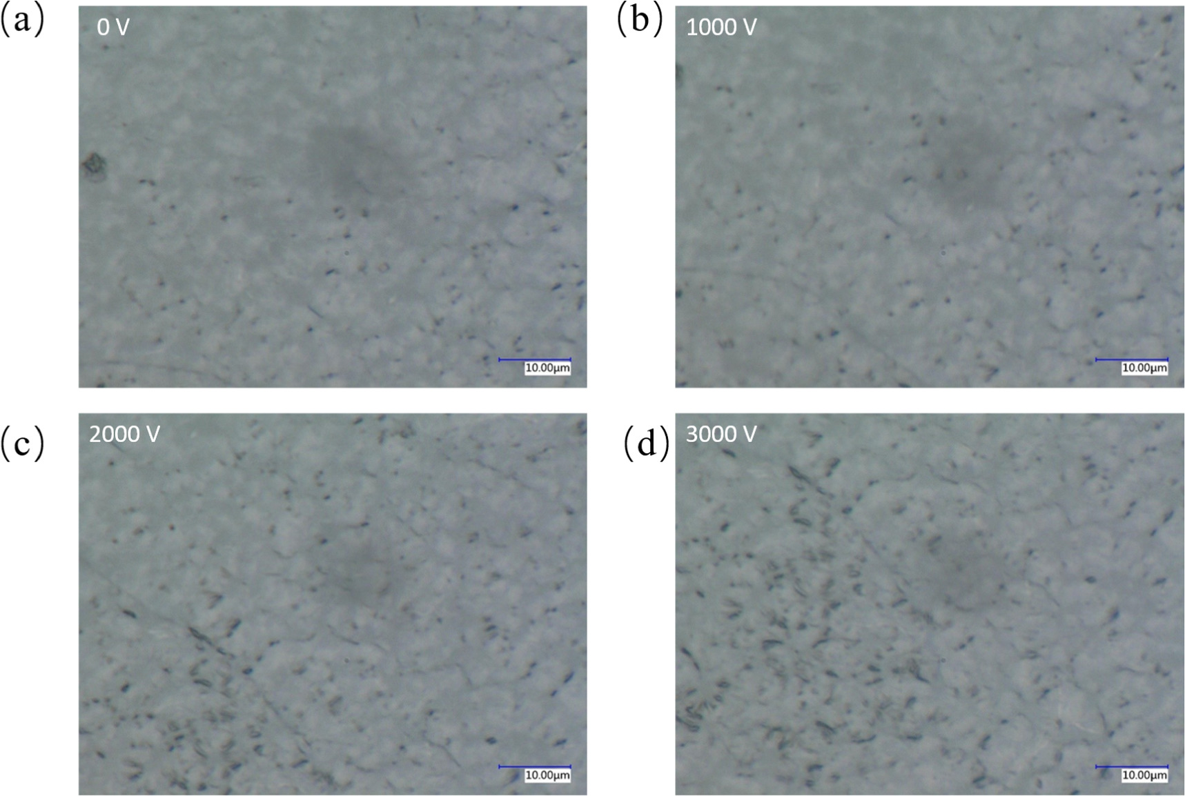 Non-monotonic electromechanical deformation of dielectric elastomer ...
