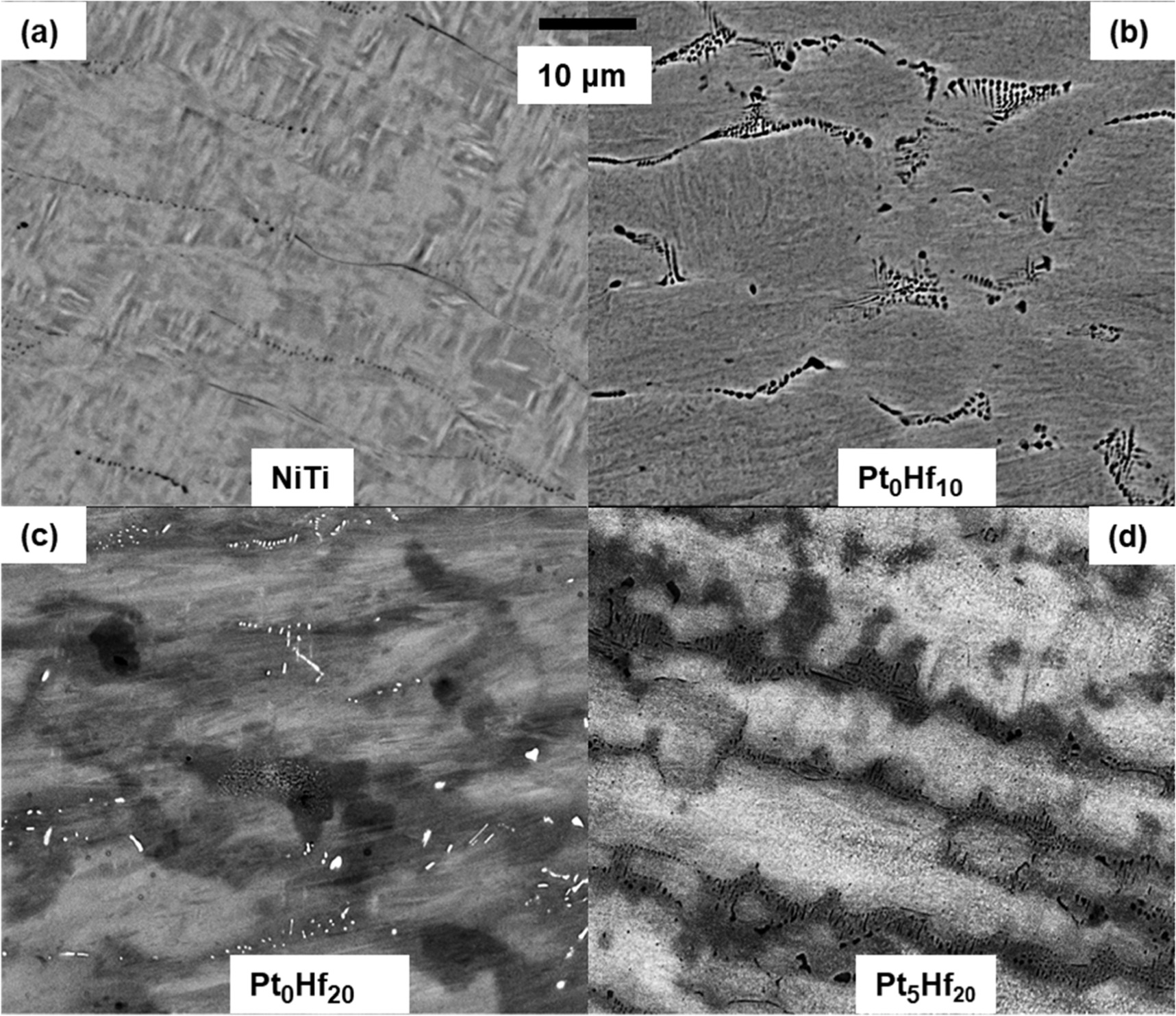 A comparative study of the microstructure and shape memory behaviour of ...