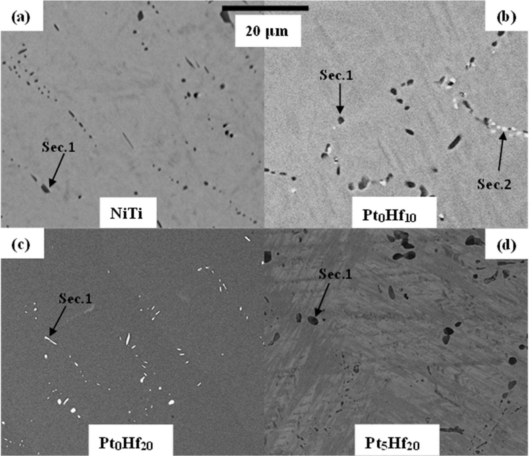 A comparative study of the microstructure and shape memory behaviour of ...
